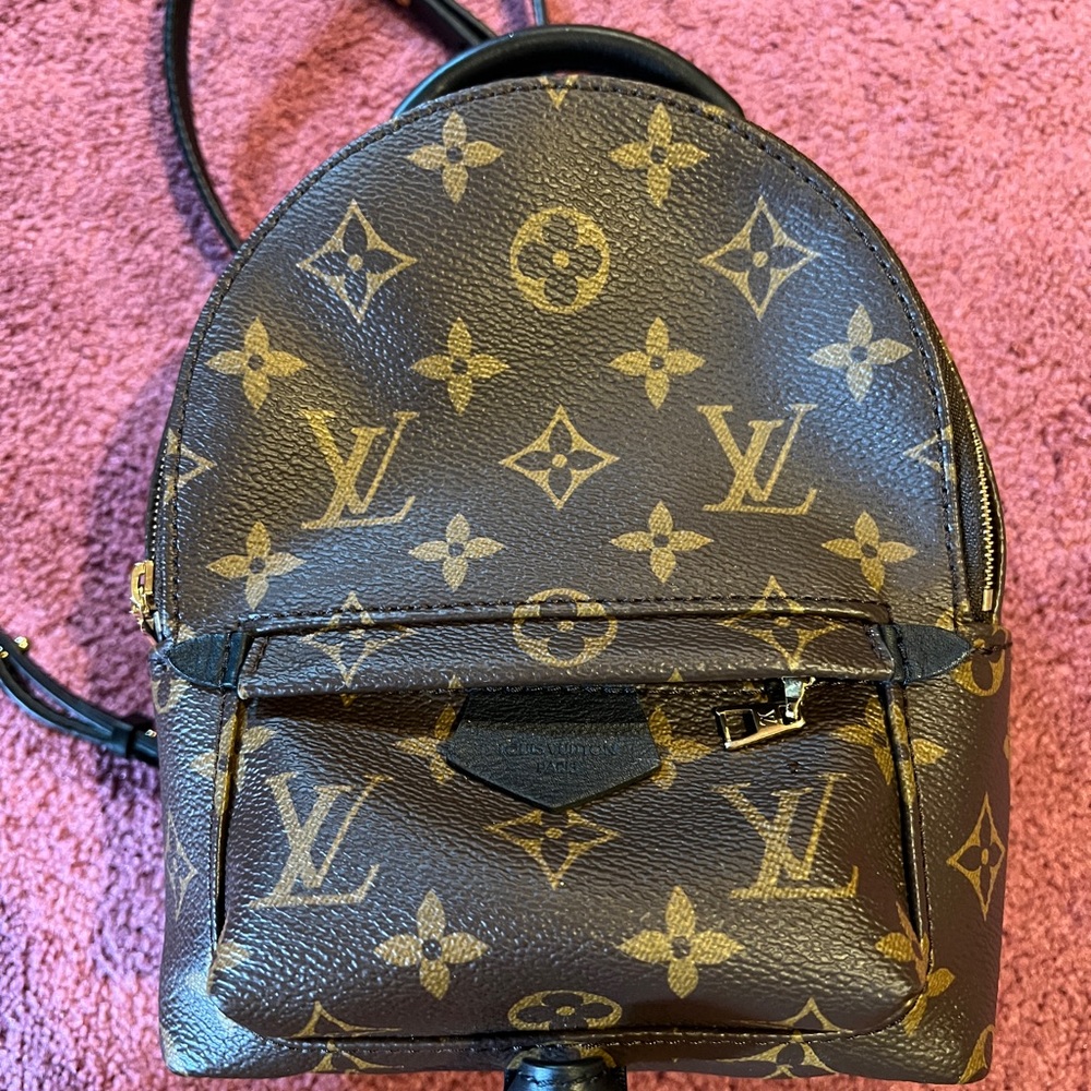 Louis Vuitton Palm Springs Mini backpack
